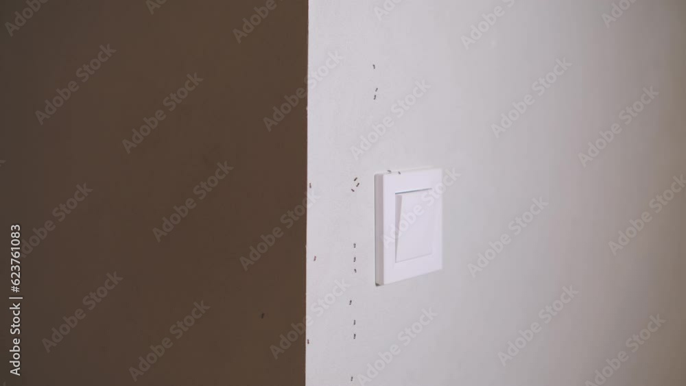 Ants pests crawl on the wall in the house. Insect problem indoors. Ants pests crawl on the wall in the house. Insect problem indoors.