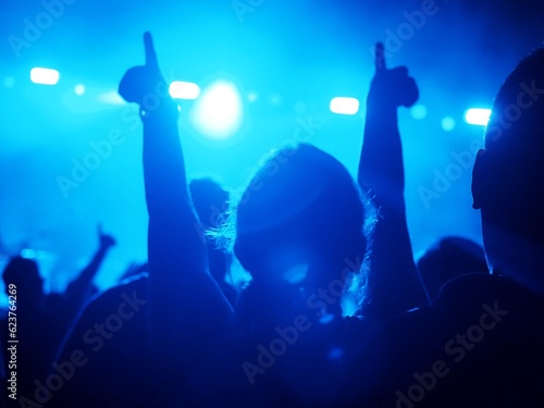 Silhouette of people attengding a concert with raising hands © MissPic