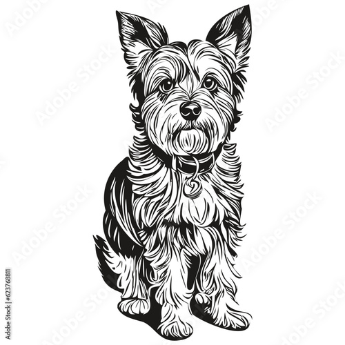 Dandie Dinmont Terriers dog pet silhouette, animal line illustration hand drawn black and white vector
