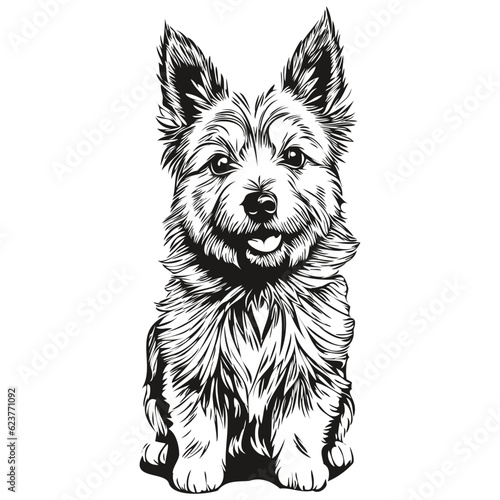 Norwich Terrier dog engraved vector portrait, face cartoon vintage drawing in black and white sketch drawing