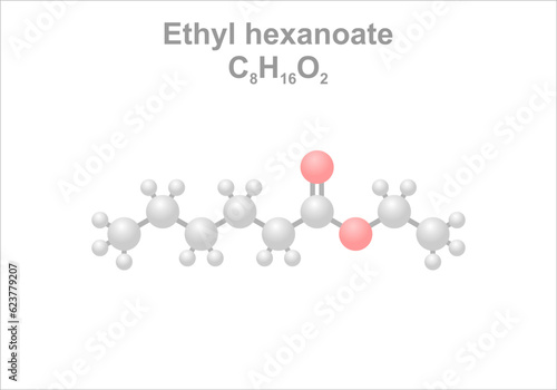 Simplified scheme of the ethyl hexanoate molecule.