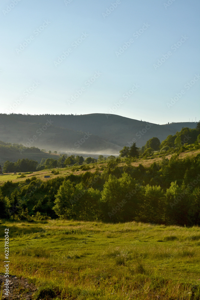 a beautiful view of a green meadow with the mountains and the trees in the background on a sunny day a beautiful view of a green meadow with the mountains and the trees in the background on a sunny day