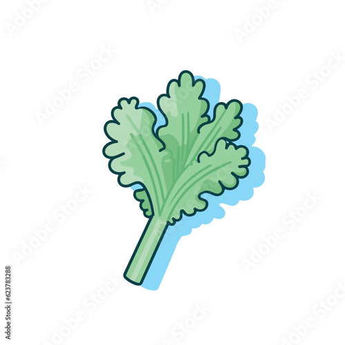 Vector of a green leafy vegetable on a white background