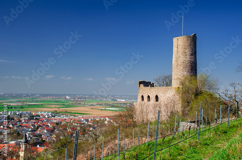 Burgruine Strahlenburg in Schriesheim an der Bergstraße im Odenwald, Baden-Württemberg, Deutschland photo