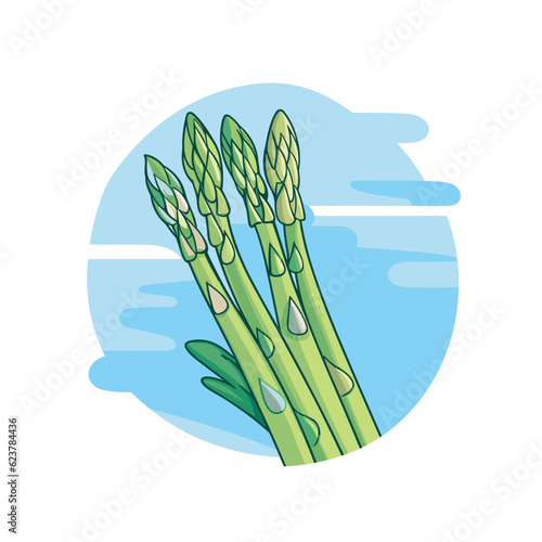 Vector of a flat icon vector of green asparagus bunches
