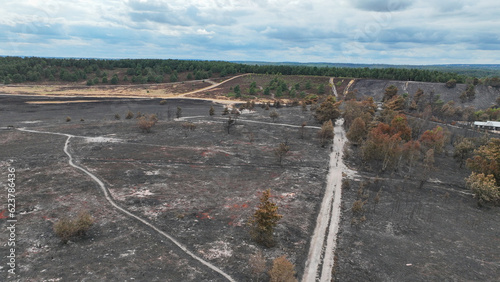 Canvas-taulu Aerial view of the aftermath of a forest fire in the countryside