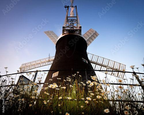 Holgate Windmill and Daisies photo