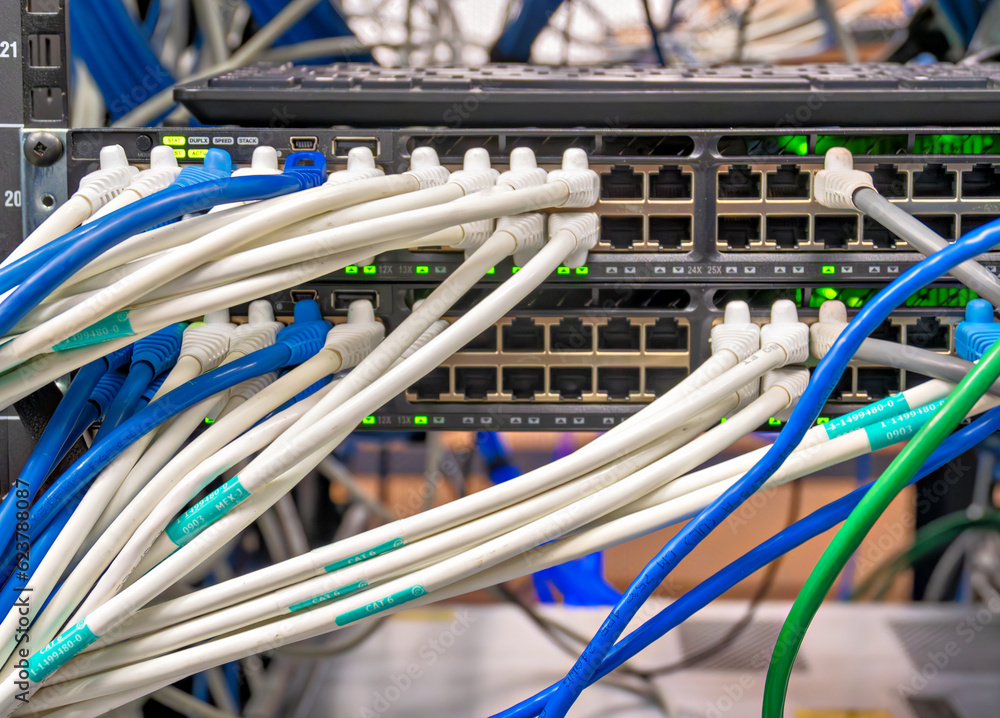 Ethernet cables connected to the network equipment Ethernet cables connected to the network equipment