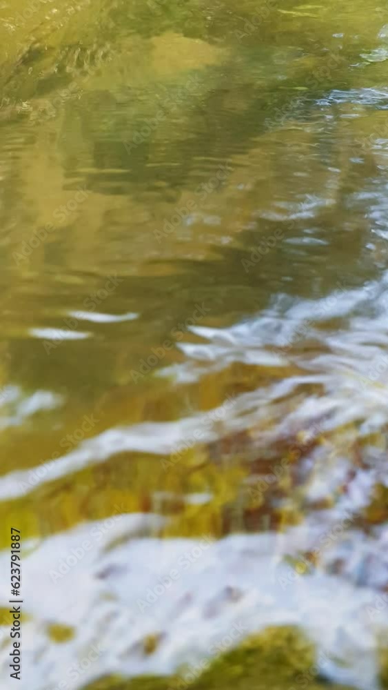 Spring water Spring water