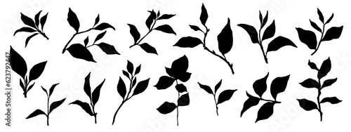 Set of tea leaves silhouettes.Vector graphics.