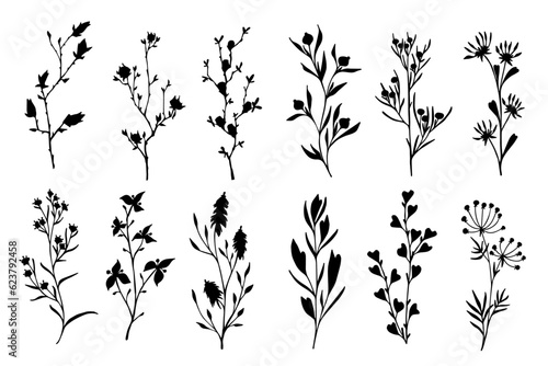 Set of botanical silhouettes of various branches with leaves, herbs,berries. Vector graphics.