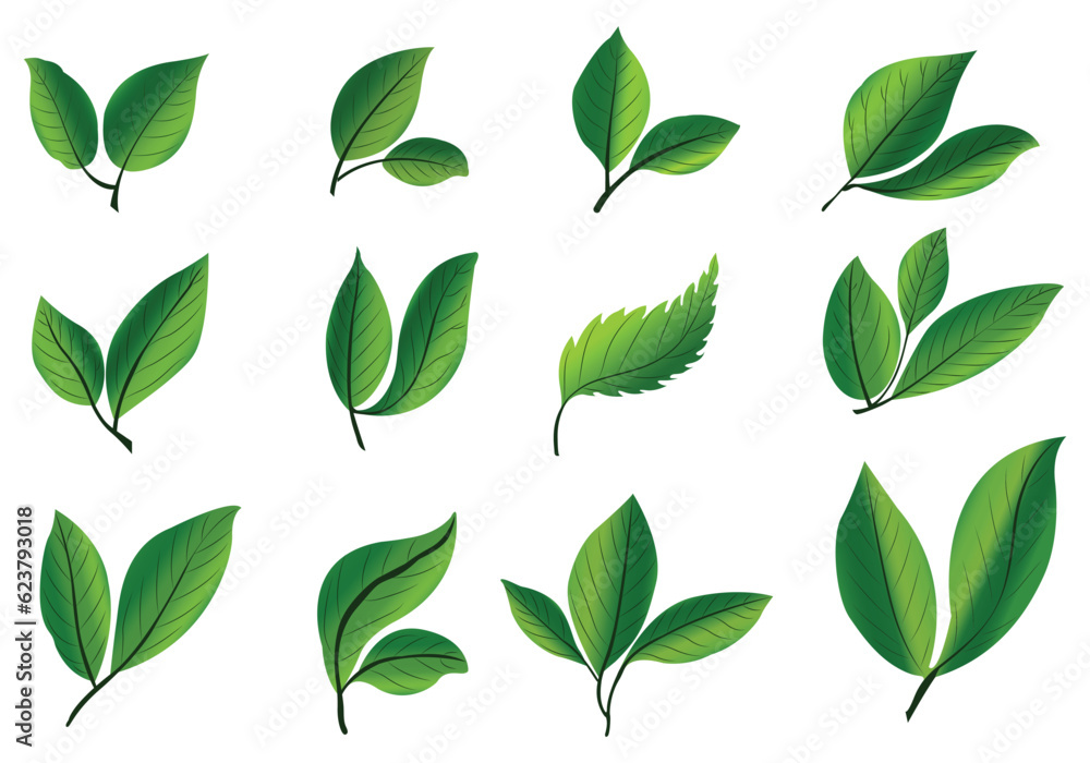 Realistic tropical plants green leaf set design