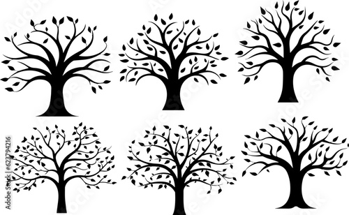 Photography silhouette plant tree images