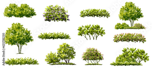 Vector watercolor green tree or forest side view isolated on white background for landscape and architecture drawing,elements for environment or garden,botanical element for exterior section in spring