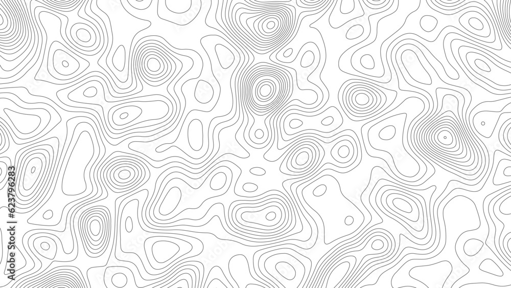 Abstract white topography vector background. Line topography map design. Topographic map. Abstract white topography vector background. Line topography map design. The concept of conditional geographic Abstract white topography vector background. Line topography map design. Topographic map. Abstract white topography vector background. Line topography map design. The concept of conditional geographic