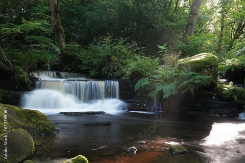 A stunning waterfall with a single light ray creating a dreamlike scene. Shot at Rivelin Valley nature trail on a morning walk in midsummer. 