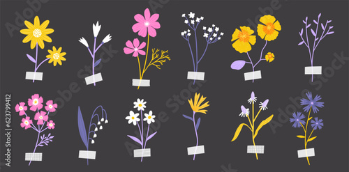 Pressed flowers collection, collage with decorative tape. Vector illustration of dried wild florals isolated on dark background.