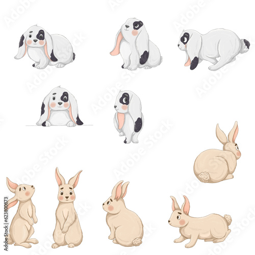 Fototapeta Naklejka Na Ścianę i Meble -  Cute rabbits in various poses. bunnies standing, sitting, running, jumping.