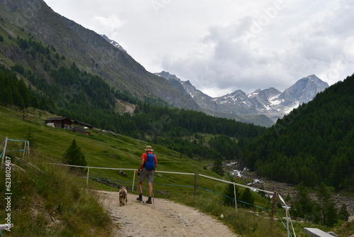 Mann und sein Lagotto Romagnolo Hund wandern in Südtirol 