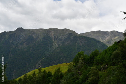 Sch  ne Landschaft mit Bergen im Schnalstal in S  dtirol 