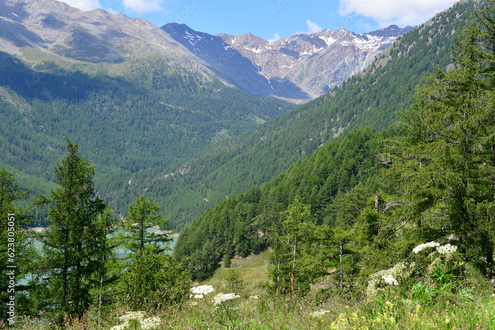 Schöne Landschaft mit Bergen und dem Vernagter Stausee im Schnalstal in Südtirol 