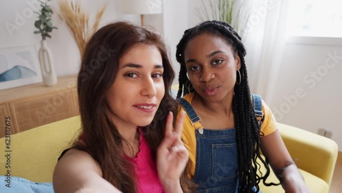Happy female friends taking a selfie at home.