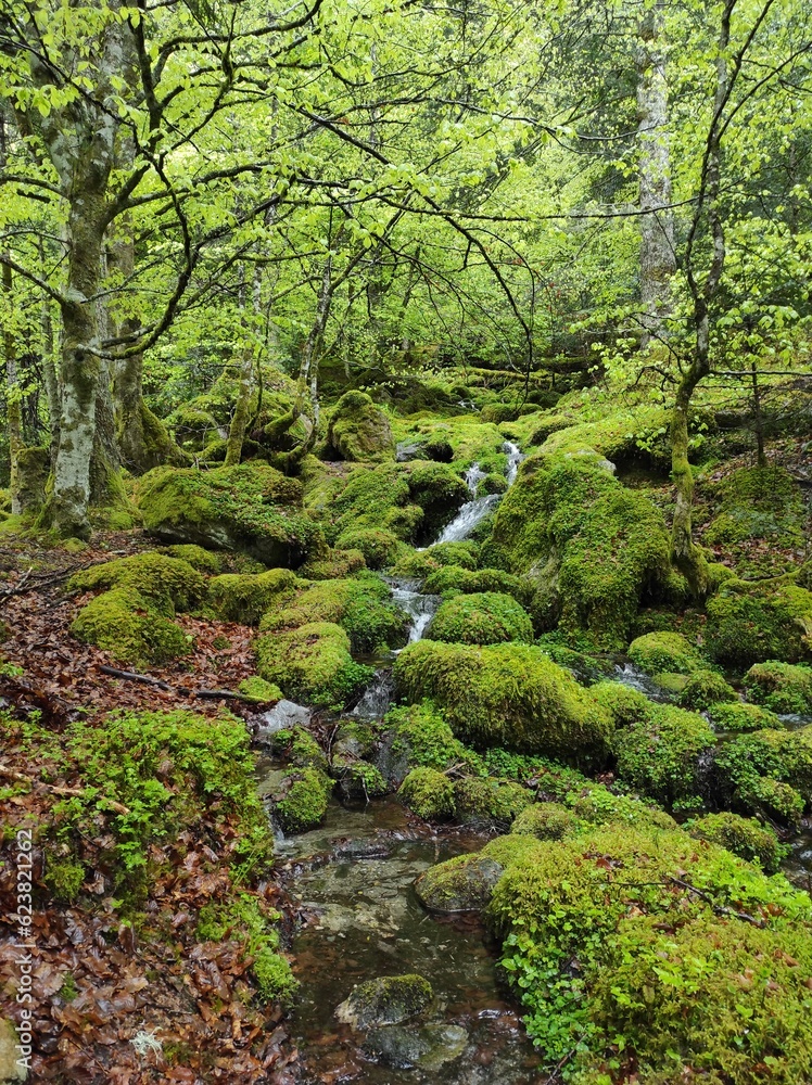 cascade et rivière dans les Hautes Pyrénées, Bagnères de Bigorre cascade et rivière dans les Hautes Pyrénées, Bagnères de Bigorre