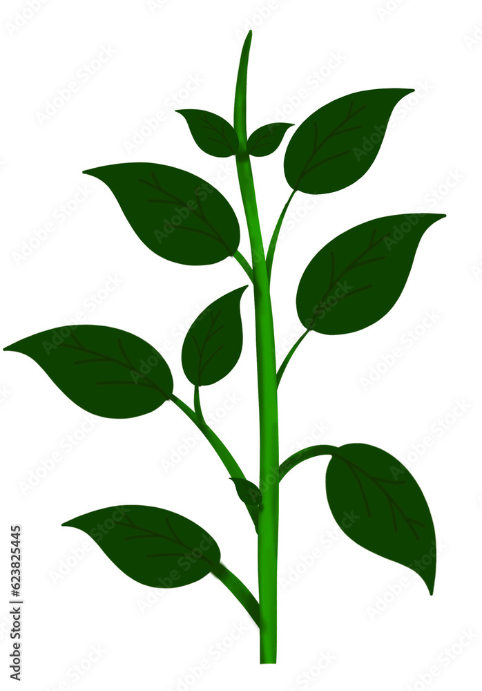 Plant stem illustration - Plant PNG Plant stem illustration - Plant PNG