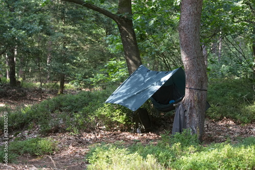 hammock camping in the forest, the ultimate outdoor experience