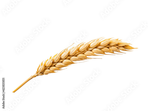 An ear of wheat isolated on transparent or white background, png