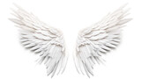 An angelic figure with wings stands on a clear white background.