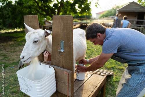 Man milking a goat on a farm