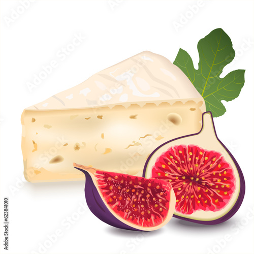 A piece head brie cheese with figs. A slice of brie cheese, triangular piece soft cheese. Dairy products and fruit. Soft camembert cheese. Realistic vector illustration isolated on white.