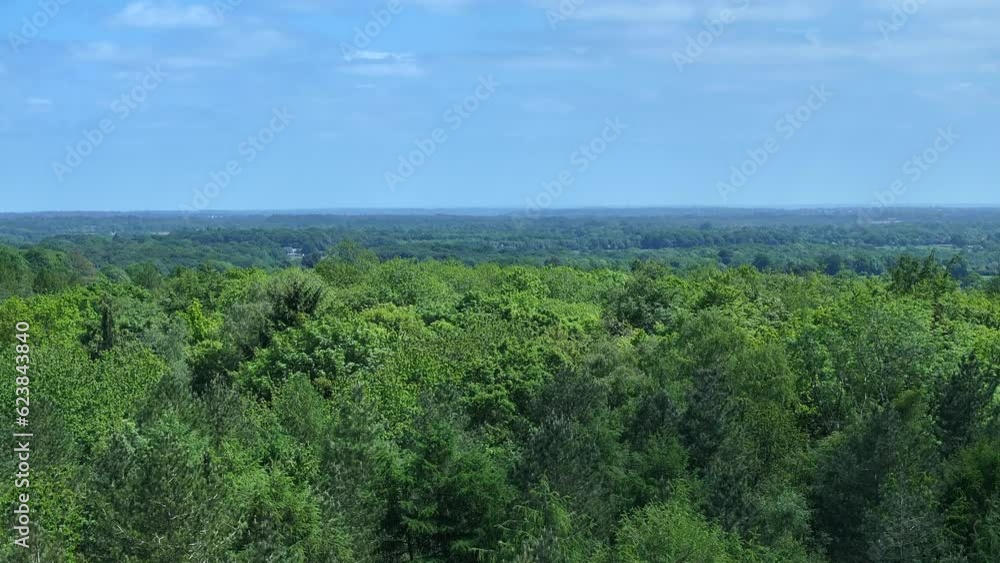 Forest and Woodland in the UK From an Aerial View Forest and Woodland in the UK From an Aerial View