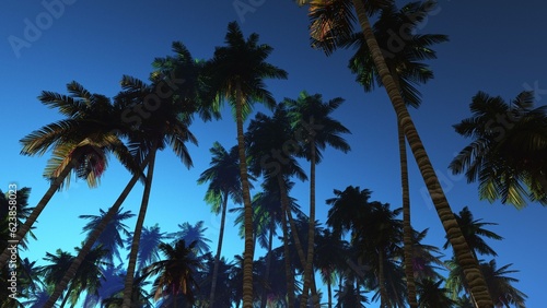 silhouettes of palm trees against the sky, tropical trees in the sky, 3d rendering