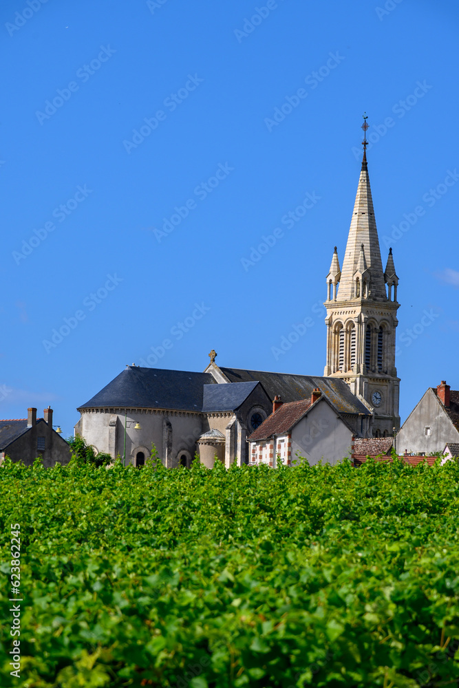 View on Saint-Andelain hilltop village surrounded by vineyards that are part of Pouilly-Fumé wine region, Loire valley, central France