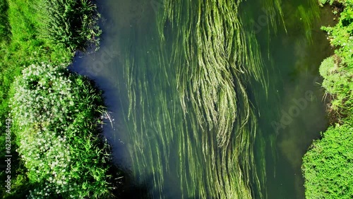 Aerial shot satellite view of River Avon in Wiltshire UK with trees and river weed photo