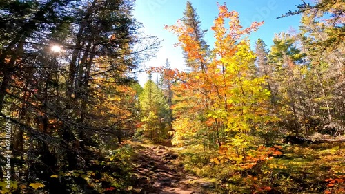 Walking on hiking trail in forest under warm autumn sun in Cobalt, Temiskaming Shores, Ontario, Canada photo