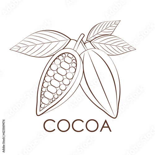 Cocoa bean Logo. Cocoa Icon. Chocolate Cocoa Symbol. Vector Illustration Isolated on White Background.