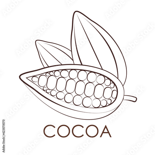Cocoa bean Logo. Cocoa Icon. Chocolate Cocoa Symbol. Vector Illustration Isolated on White Background.
