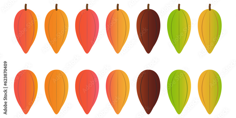 Fresh Cocoa Fruits and Beans, Cacao Beans, Cocoa Pod. Vector Illustration Isolated on White Background.