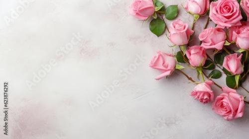 Pink roses background with copy space. Top view, flat lay