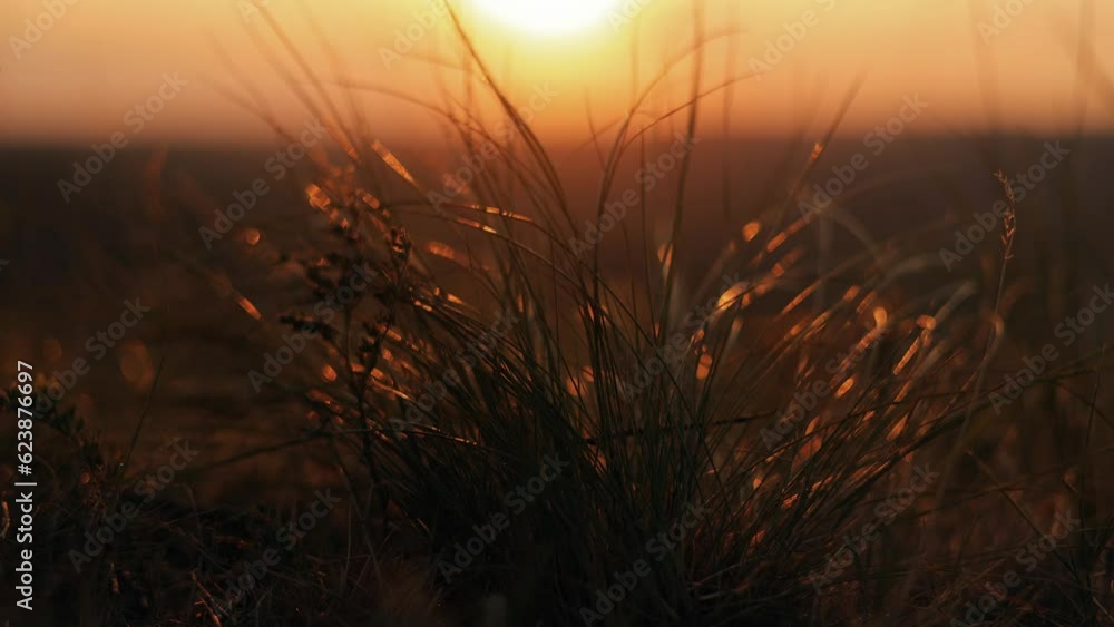 The book of life bible lies on the grass at sunset in the sunlight, a woman's hand picks it up The book of life bible lies on the grass at sunset in the sunlight, a woman's hand picks it up