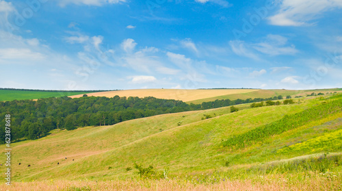 Hilly green meadow  pasture and blue sky. Wide photo.