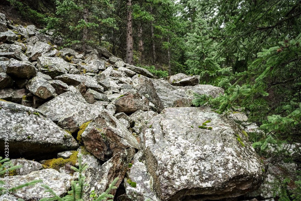 Mountain rocks with moss and green pine trees