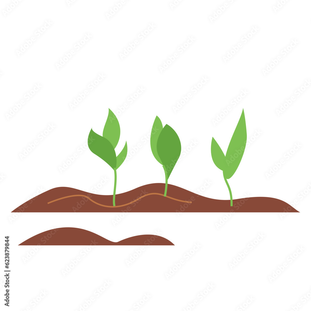 Young plants in the garden. Spring illustration of vegetable garden with sprouts. Gardening vector illustration isolated on white background Young plants in the garden. Spring illustration of vegetable garden with sprouts. Gardening vector illustration isolated on white background