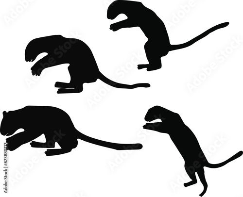 hunting tiger styles vector image objects in different angels with high resolution