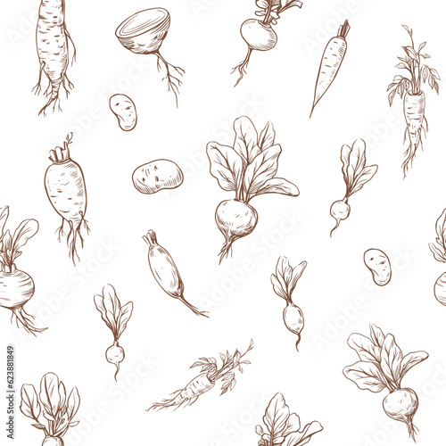 Seamless pattern. Vector sketch illustrations of root vegetables, beets, carrots, radishes. Black outline on transparent background