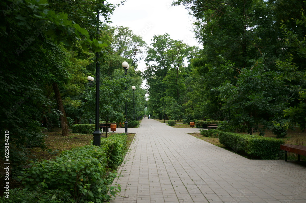 Pedestrian alley in the park. Green vegetation and trees.