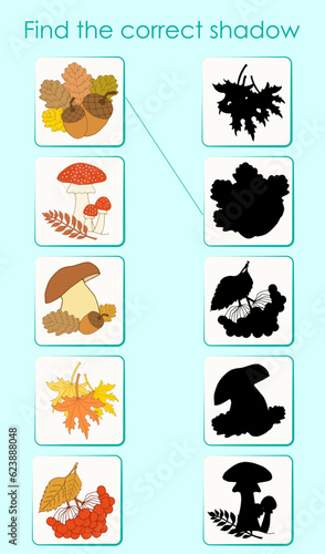Find the correct shadow of elements of the autumn forest. Worksheet for children's education. Cartoon vector illustration for activity book.